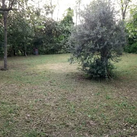 Casolare Toscano Country house
