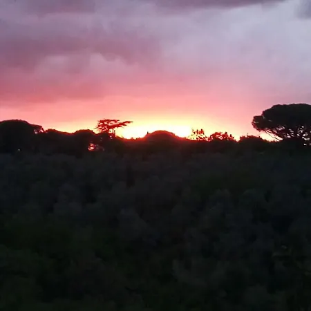 Casolare Toscano Casa di campagna Lorenzana