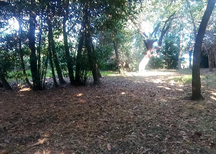 Kır Evi Casolare Toscano *