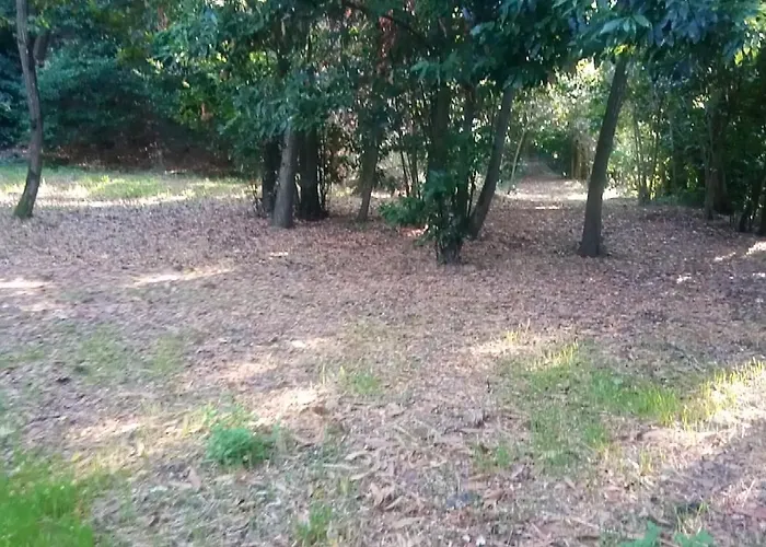 Kır Evi Casolare Toscano *