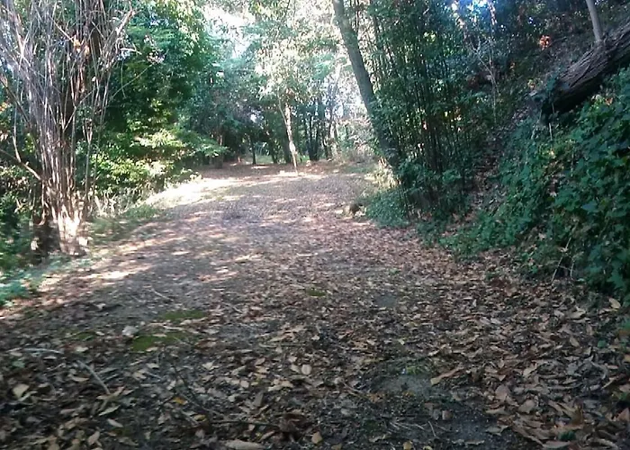 Kır Evi Casolare Toscano