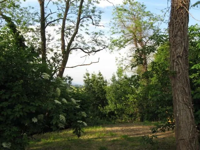 Casolare Toscano * Lorenzana